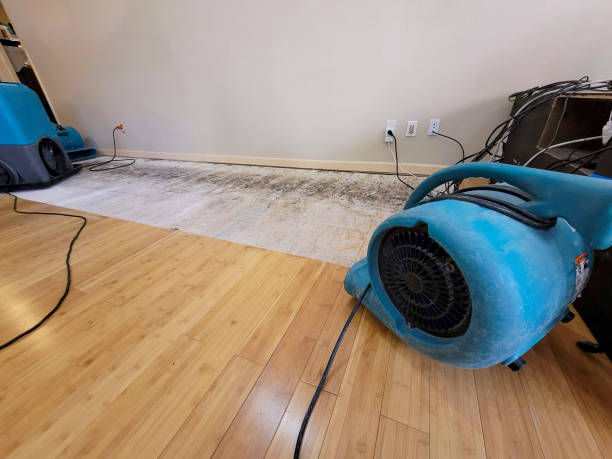 Professional Water Damage Repair technician working in Vandalia, OH